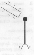 width="124"